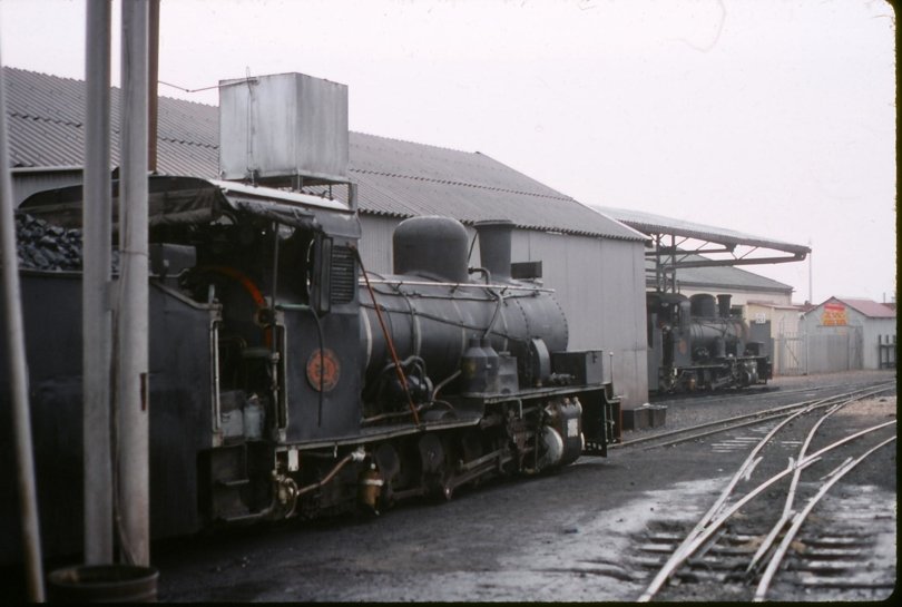 NG steam loco 4 - Narrow Gauge railway Photo Gallery