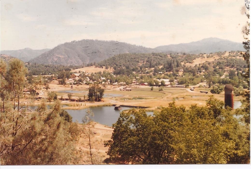 Mill Site 1979