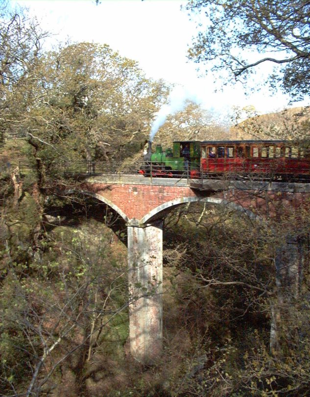 Douglas on Dolgoch viaduct