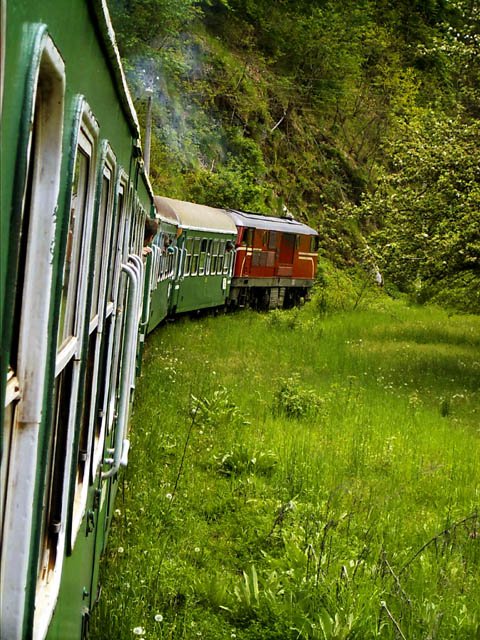 The Septemvri-Dobrinishte mountain narrow gauge railway