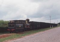 Cane train