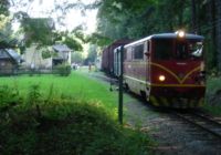 Shunting Mixed train at Strizovice